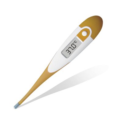 Health Care Devices,Health Instruments,Medical Instruments,Body Thermometer,Temperature,Thermometer,digital thermometer